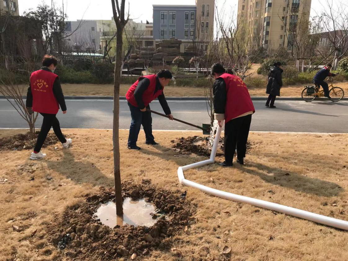 兰山街道沟上社区组织志愿者开展了植树节活动